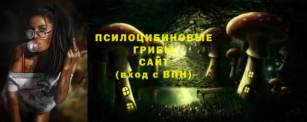 первитин Арсеньев