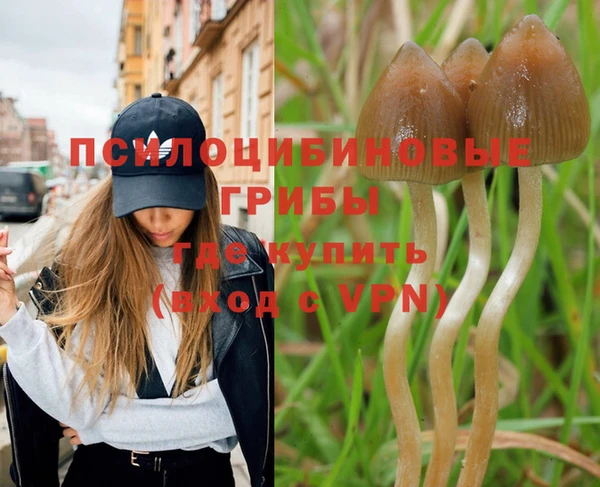 герыч Бердск